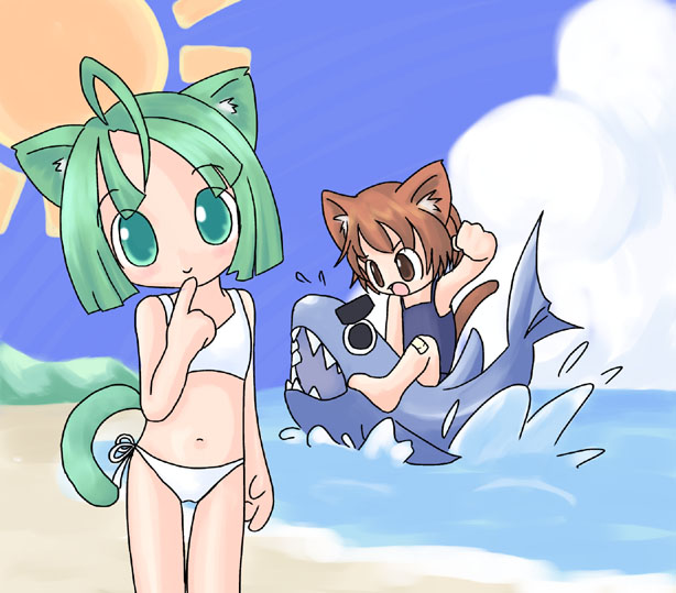 (本来はここに絵が表示されます)