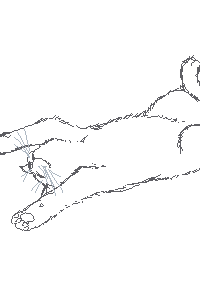 絵をクリックしてコメントをどうぞ